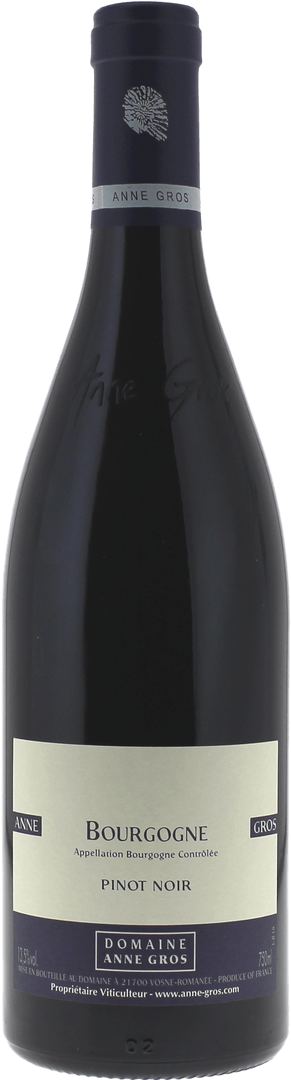 Bourgogne Pinot Noir Domaine Gros Anne - Magnum 1,5L, 2015 - Bottle Hero