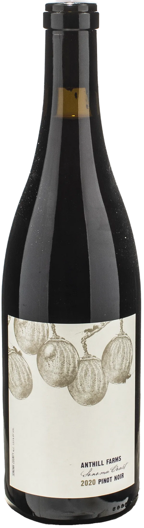 Anthill Farms Pinot Noir Sonoma Coast 2020 - Bottle Hero