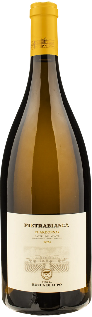 Bocca di Lupo Castel del Monte Pietrabianca Chardonnay Magnum 2024 - Bottle Hero