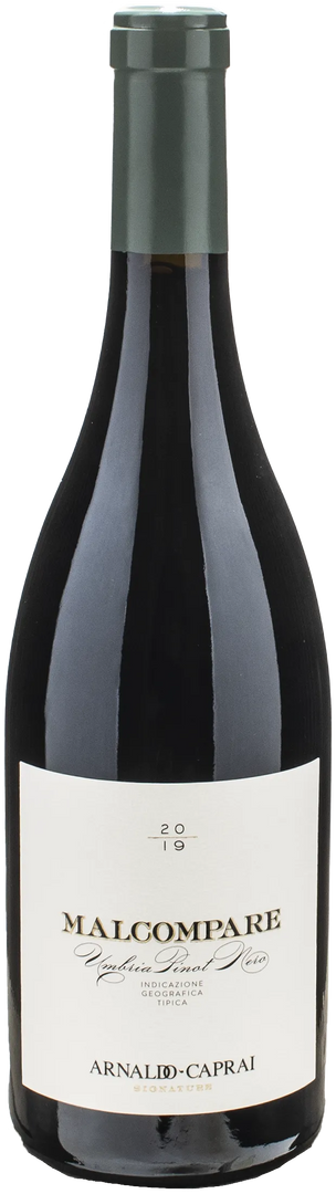 Arnaldo Caprai Malcompare Pinot Nero 2019 - Bottle Hero