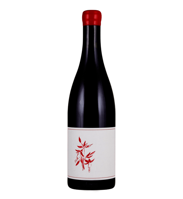 Arnot-Roberts Gamay Noir, El Dorado 2023 - Bottle Hero