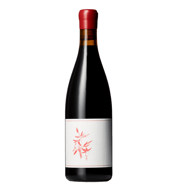 Arnot-Roberts Pinot Noir Heaven and Earth Vineyard 2023 - Bottle Hero