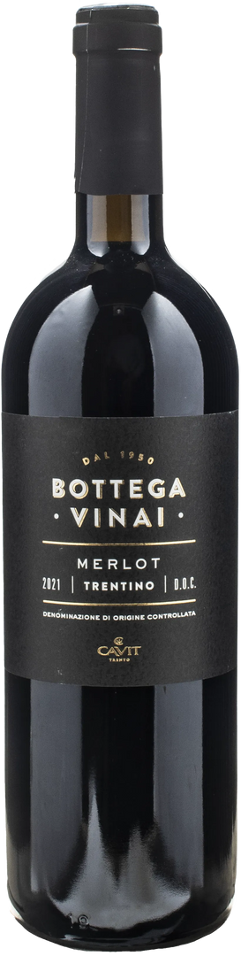 Bottega Vinai Merlot Trentino 2021 - Bottle Hero