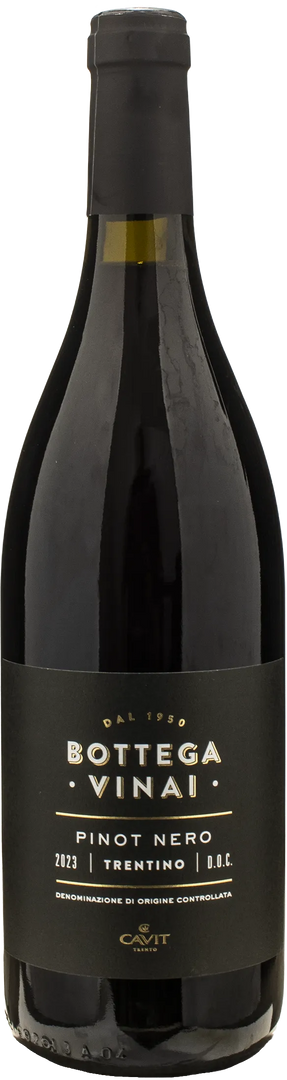 Bottega Vinai Pinot Nero Trentino 2023 - Bottle Hero