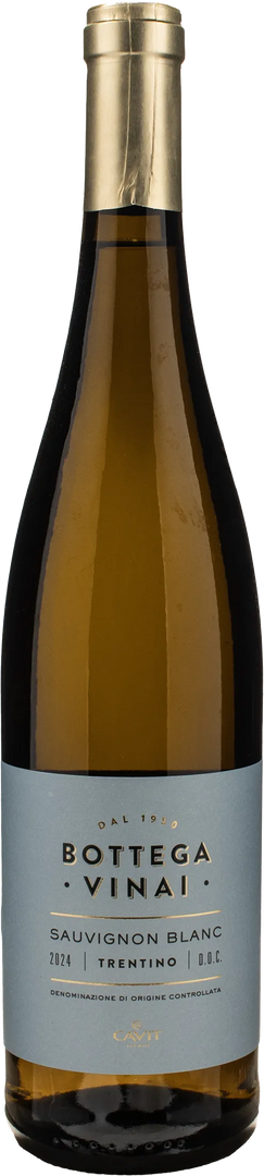 Bottega Vinai Sauvignon Blanc Trentino 2024 - Bottle Hero