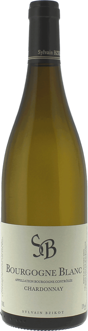 Bourgogne Blanc Domaine Bzikot Sylvain, 2022 - Bottle Hero