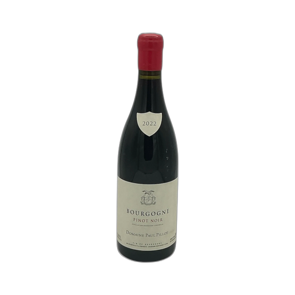 Bourgogne Pinot Noir. Domaine Pillot Paul, 2022 - Bottle Hero