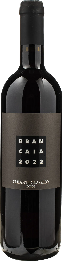 Brancaia Chianti Classico Riserva 2022 - Bottle Hero