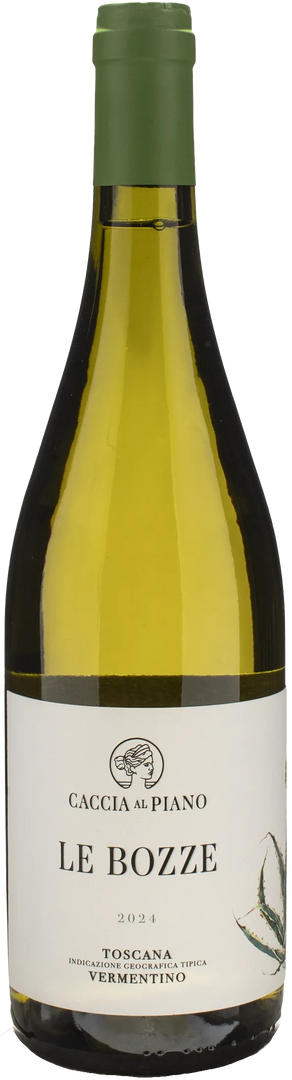 Caccia al Piano Le Bozze Vermentino 2024 - Bottle Hero