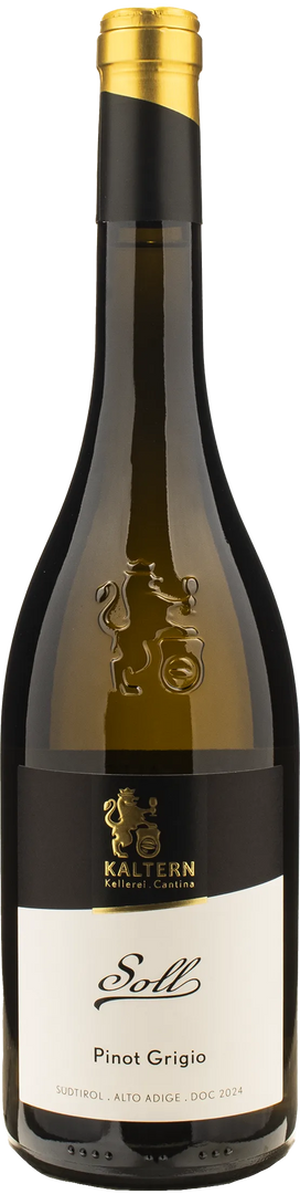 Caldaro Pinot Grigio Soll 2024 - Bottle Hero