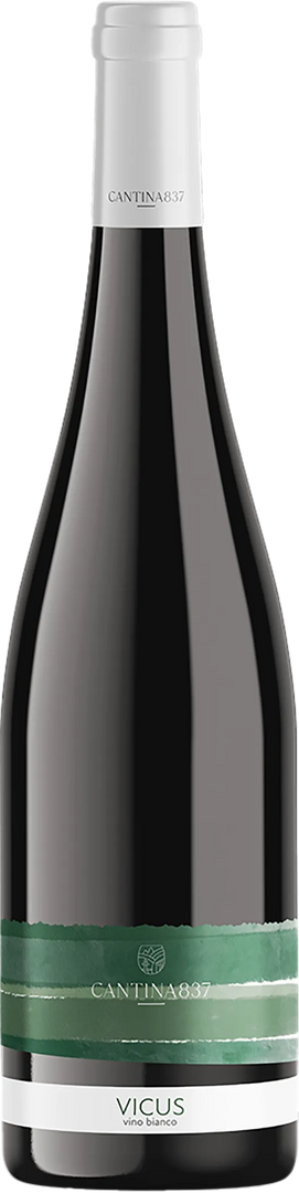 Cantina 837 Piwi Vicus 2023 - Bottle Hero