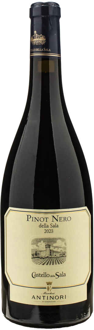 Castello della Sala Pinot Nero della Sala 2023 - Bottle Hero