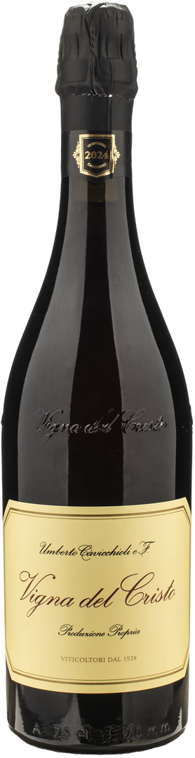Cavicchioli Lambrusco di Sorbara Vigna del Cristo Secco 2024 - Bottle Hero