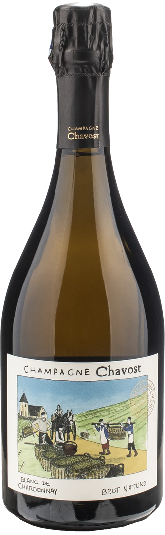 Chavost Champagne Blanc de Chardonnay Brut Nature - Bottle Hero