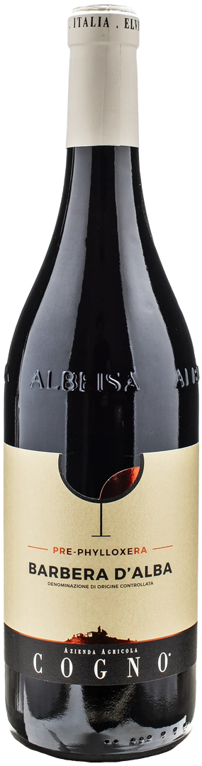 Cogno Barbera d'Alba Pre Phylloxera 2022 - Bottle Hero
