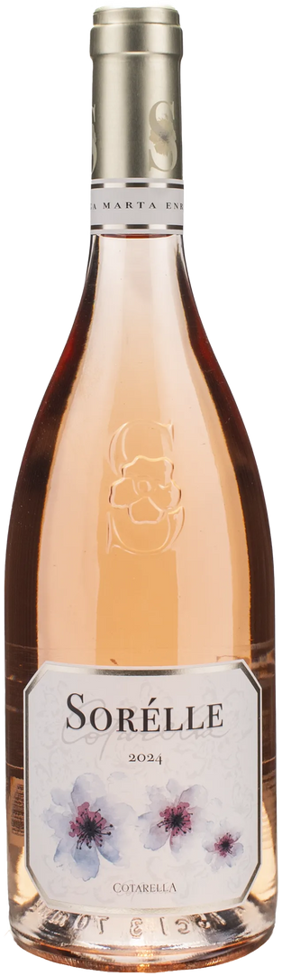 Cotarella Sorelle Rosè 2024 - Bottle Hero