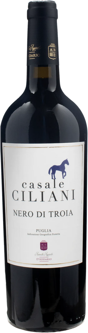 D'Addario Nero di Troia Casale Ciliani 2021 - Bottle Hero