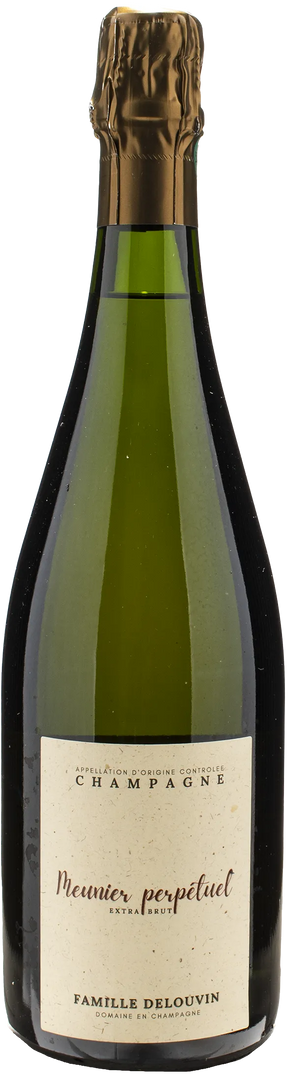 Delouvin Nowack Champagne Meunier Perpetuel Extra Brut - Bottle Hero