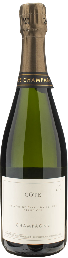Domaine Les Monts Fournois Champagne Grand Cru Cote Chouilly Extra Brut - Bottle Hero