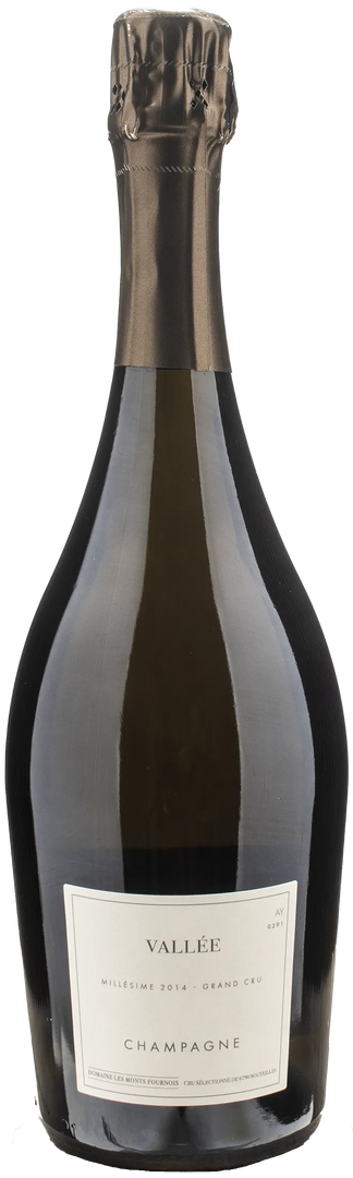 Domaine Les Monts Fournois Champagne Grand Cru Vallee Extra Brut 2014 - Bottle Hero