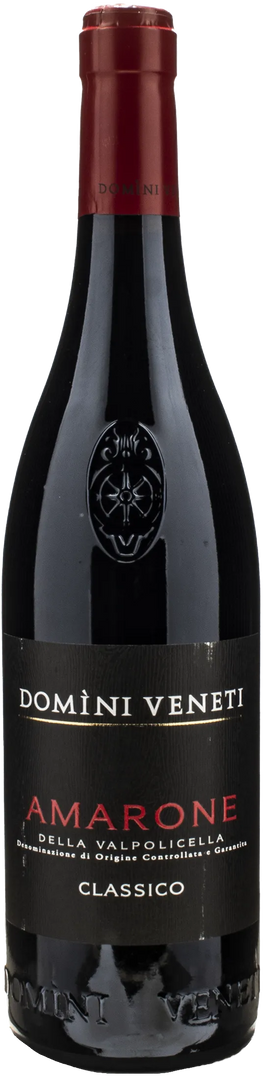 Domini Veneti Amarone della Valpolicella Classico 2021 - Bottle Hero