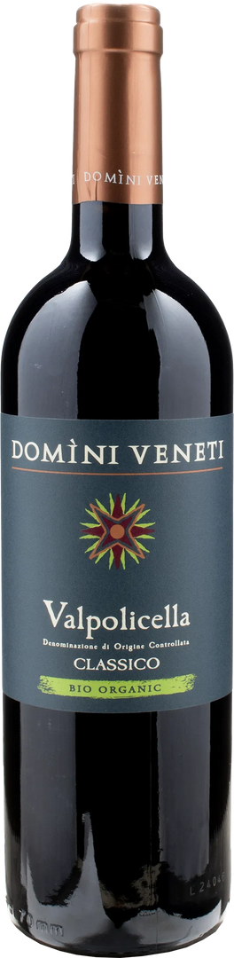 Domini Veneti Valpolicella Classico 2023 - Bottle Hero