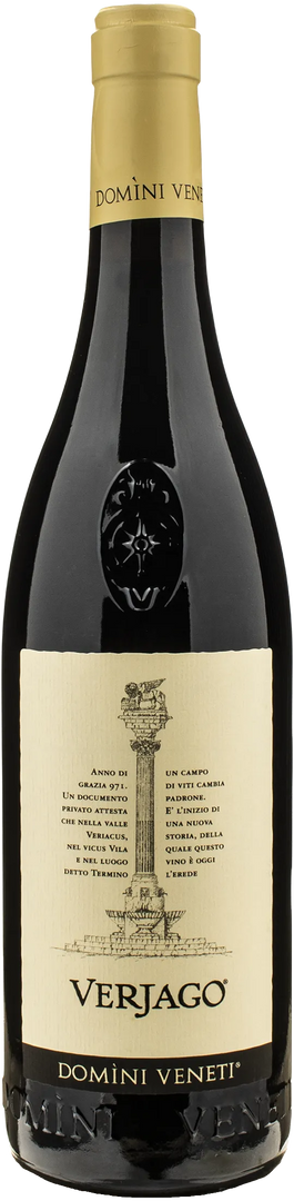 Domini Veneti Valpolicella Classico Superiore Verjago 2023 - Bottle Hero