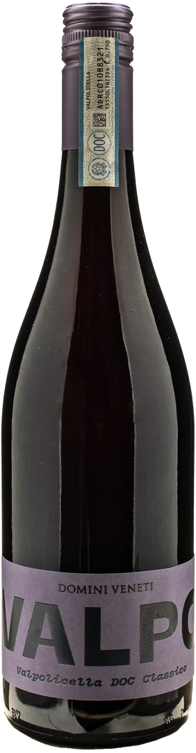 Domini Veneti Valpolicella Classico Valpo 2024 - Bottle Hero