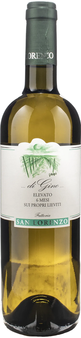 Fattoria San Lorenzo Bianco di Gino 2025 - Bottle Hero