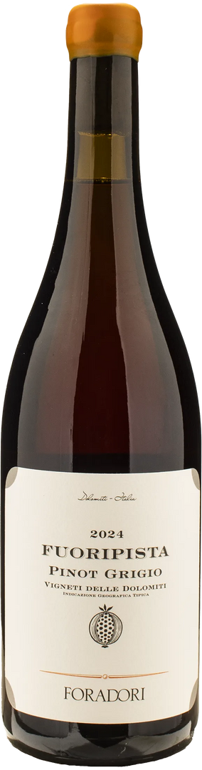 Foradori Fuoripista Pinot Grigio 2024 - Bottle Hero