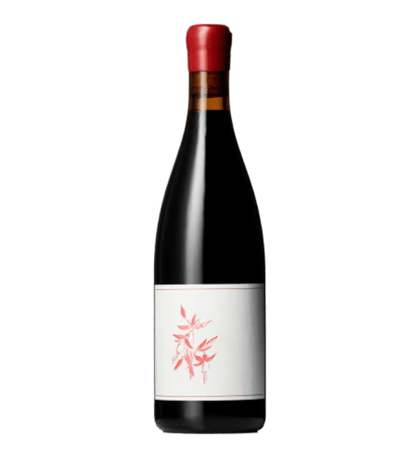 Arnot-Roberts Pinot Noir Fox Creek Carmel Valley 2023 - Bottle Hero
