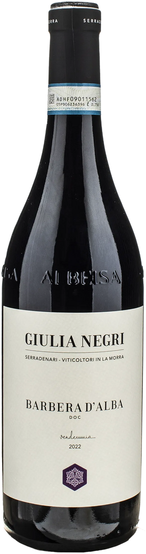 Giulia Negri Barbera d'Alba 2022 - Bottle Hero