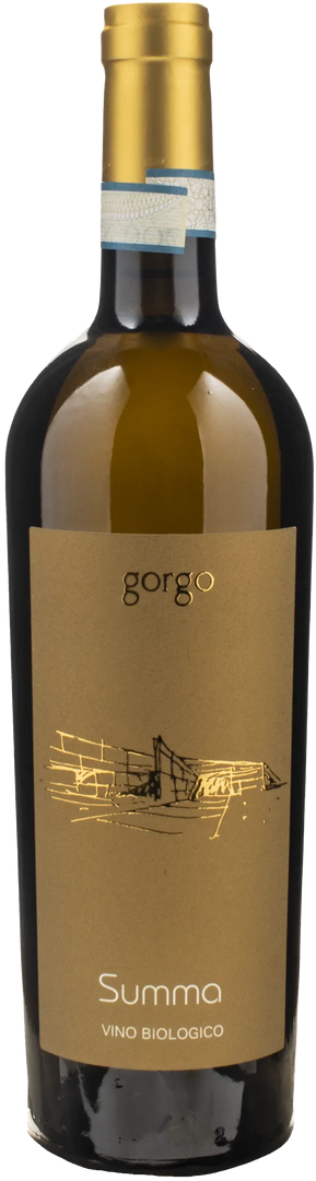 Gorgo Bianco Custoza Superiore Summa 2023 - Bottle Hero