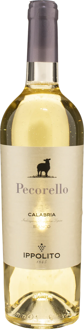Ippolito 1845 Pecorello 2025 - Bottle Hero