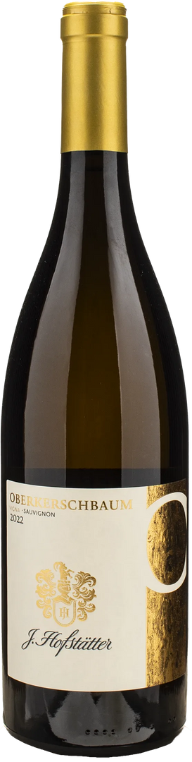 J. Hofstatter Oberkerschbaum Vigna Sauvignon Riserva 2022 - Bottle Hero