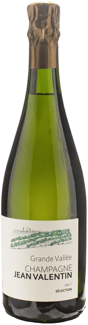 Jean Valentin Champagne Grande Vallee Selection Brut - Bottle Hero