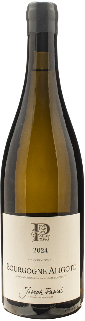 Joseph Pascal Bourgogne Aligote 2024 - Bottle Hero