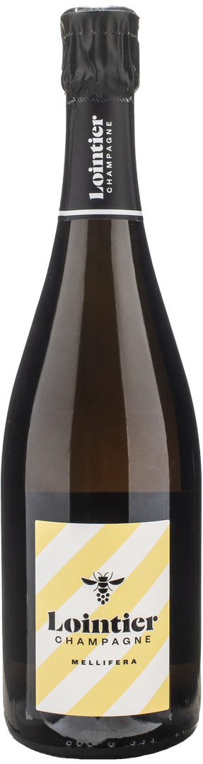 Lointier Champagne Mellifera - Bottle Hero