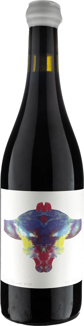 Marcello Brunetti Langhe Rosso 2022 - Bottle Hero