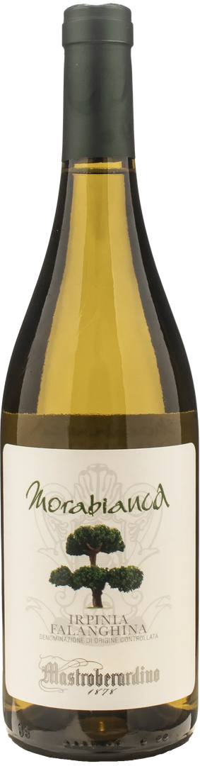 Mastroberardino Irpinia Falanghina Morabianca 2024 - Bottle Hero