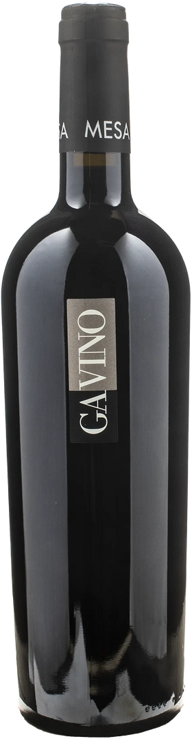 Mesa Carignano del Sulcis Superiore Gavino 2020 - Bottle Hero