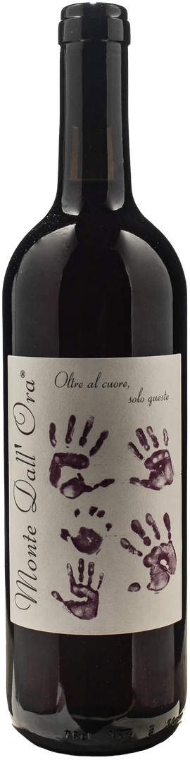 Monte dall'Ora Valpolicella Classico Saseti 2025 - Bottle Hero