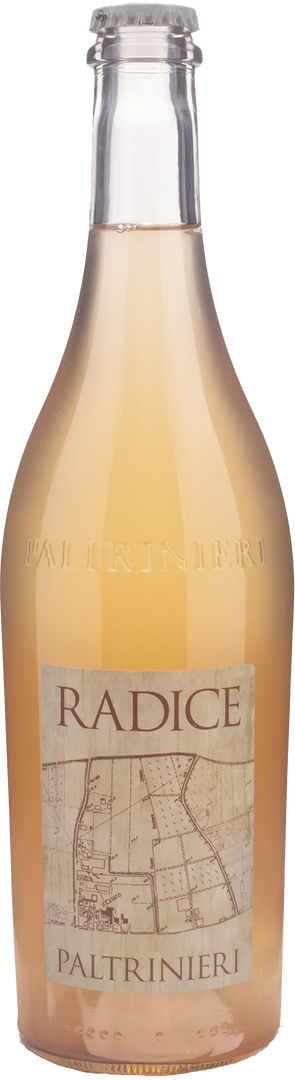 Paltrinieri Lambrusco Radice 2024 - Bottle Hero