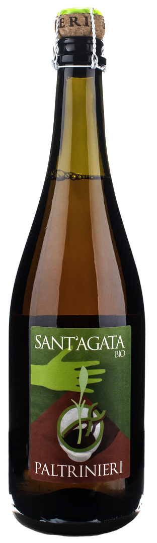 Paltrinieri Lambrusco Sant'Agata 2025 - Bottle Hero