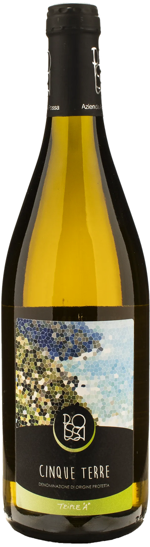 Possa Cinque Terre Bianco 2024 - Bottle Hero