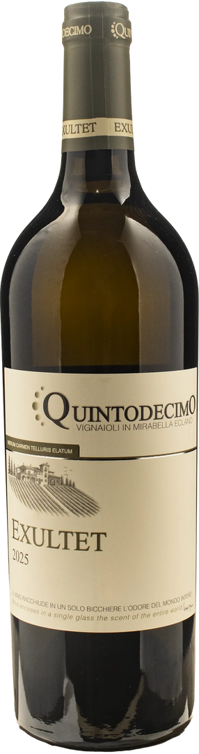 Quintodecimo Fiano di Avellino Exultet 2025 - Bottle Hero