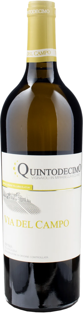 Quintodecimo Irpinia Falanghina Via del Campo Magnum 2023 - Bottle Hero
