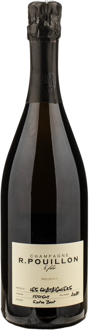 R. Pouillon Champagne Extra Brut Les Chataigniers 2020 - Bottle Hero
