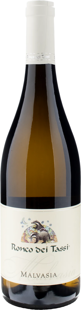 Ronco dei Tassi Collio Malvasia 2023 - Bottle Hero