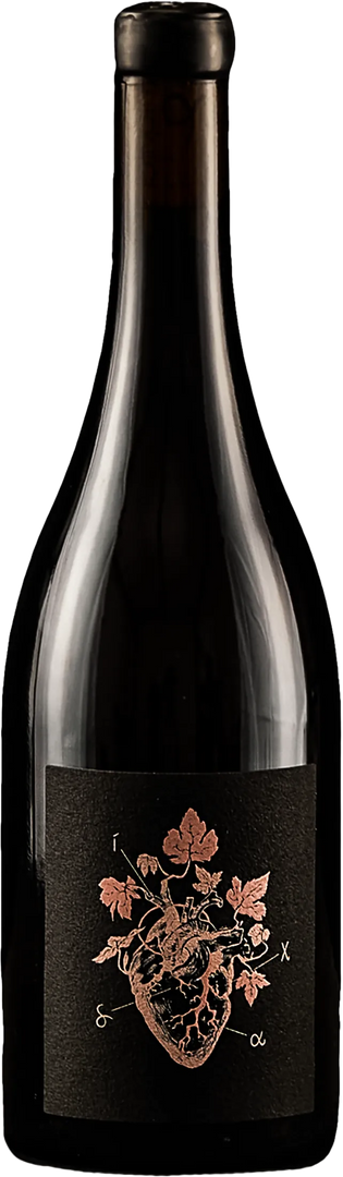 San Dionigi Dika Rosato 2024 - Bottle Hero